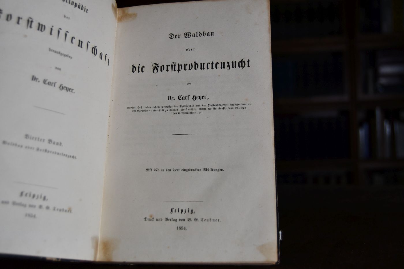 Der Waldbau oder die Forstproductenzucht.
