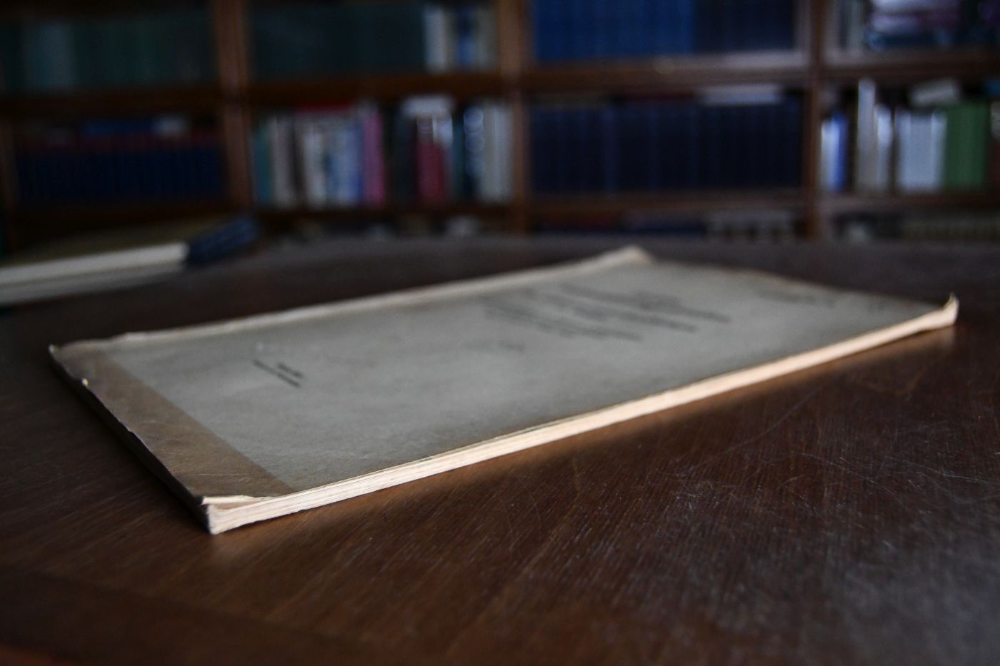 Deutsche Waffenstillstandskommission. Die Lebensmittelverhandlungen in Brüssel. Die Verhandlungen der Finanz-, Lebensmittel- und Schiffahrtsunterkommissionen am 13. und 14. März 1919.
