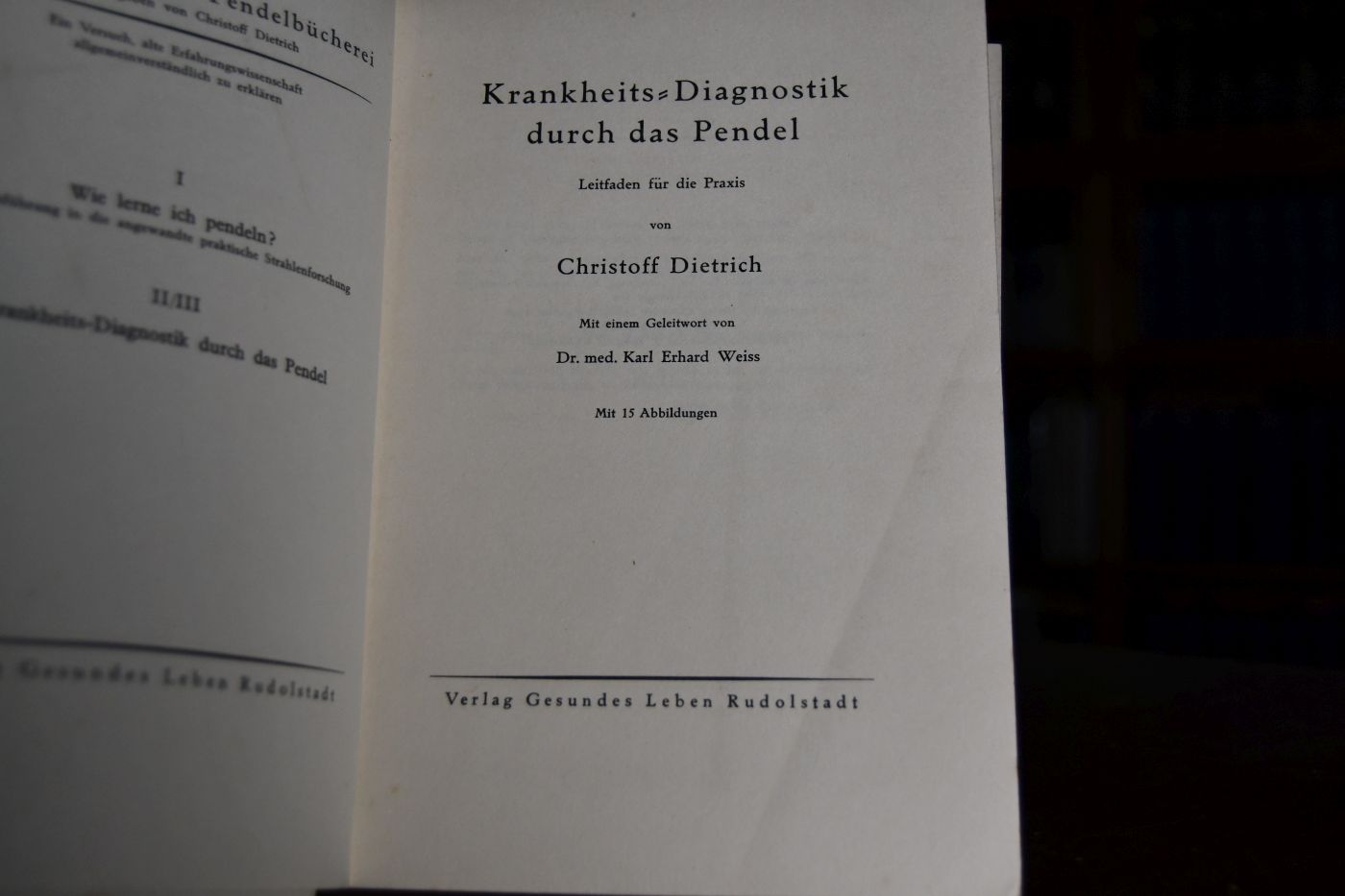 Krankheits-Diagnostik durch das Pendel. Leitfaden für die Praxis.