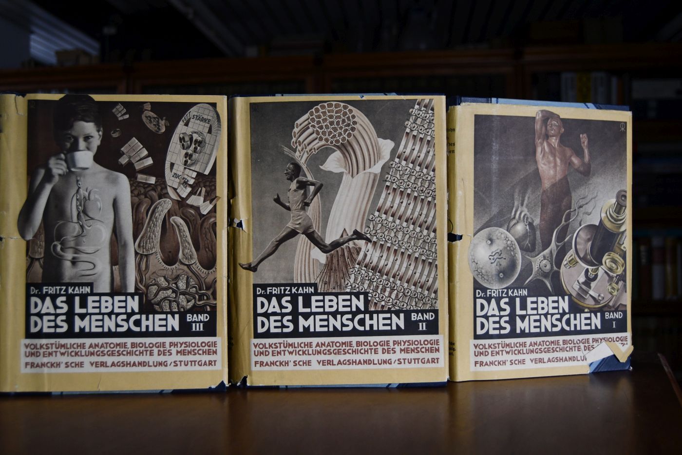 Das Leben des Menschen. Eine volkstümliche Anatomie, Biologie, Physiologie und Entwicklungsgeschichte des Menschen (5 Bände = komplett).