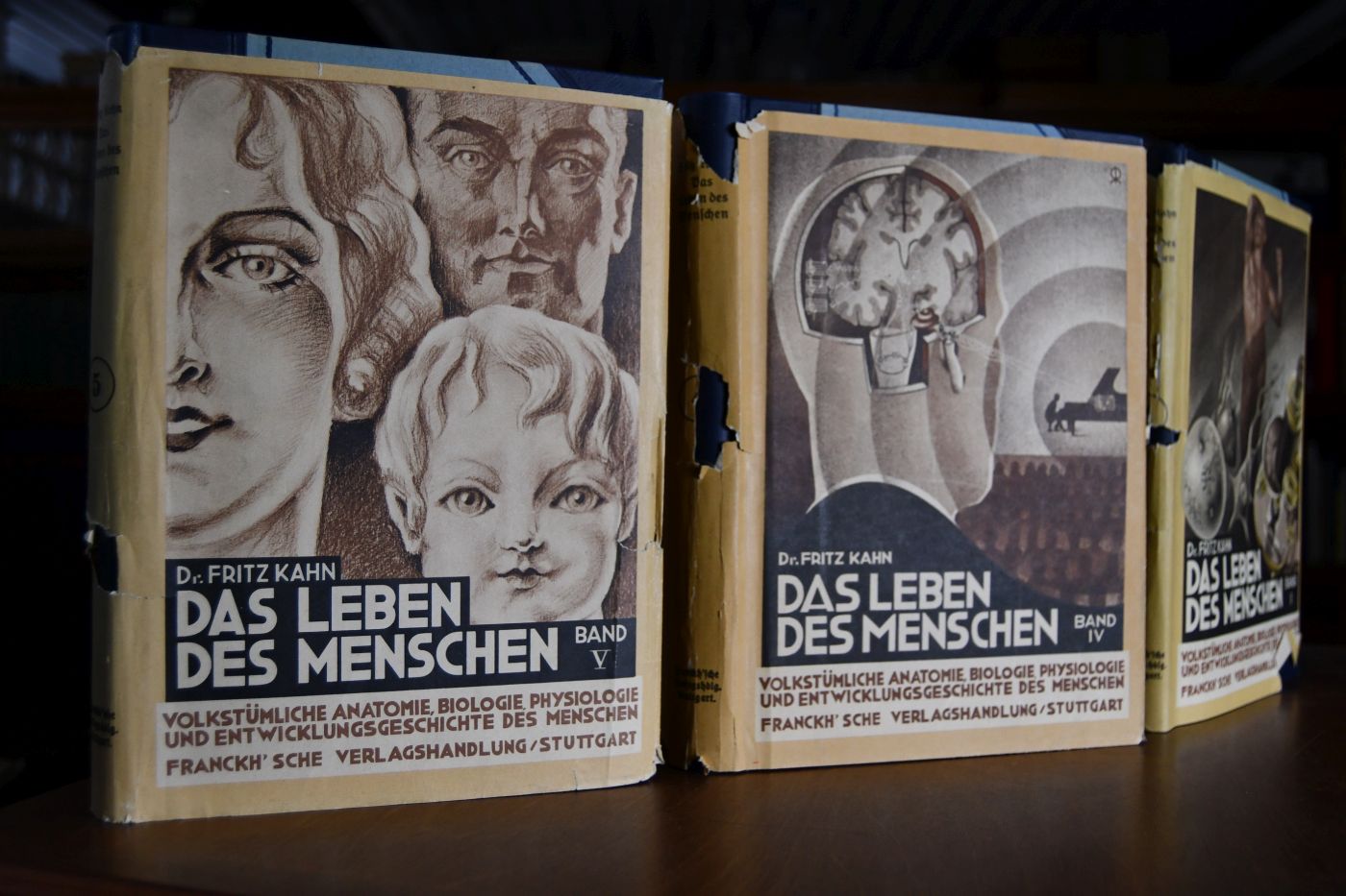 Das Leben des Menschen. Eine volkstümliche Anatomie, Biologie, Physiologie und Entwicklungsgeschichte des Menschen (5 Bände = komplett).