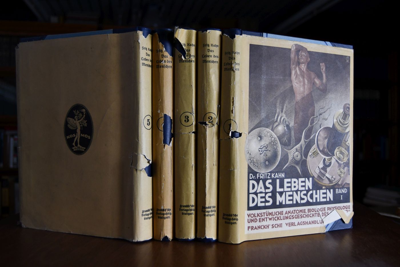 Das Leben des Menschen. Eine volkstümliche Anatomie, Biologie, Physiologie und Entwicklungsgeschichte des Menschen (5 Bände = komplett).
