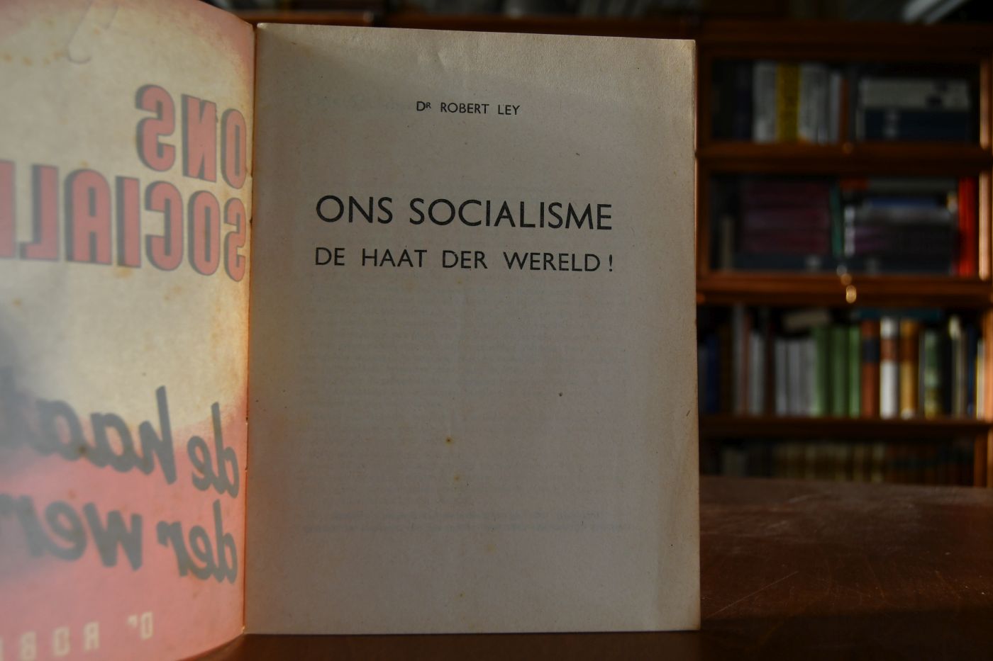 Ons Socialisme, de haat der wereld!