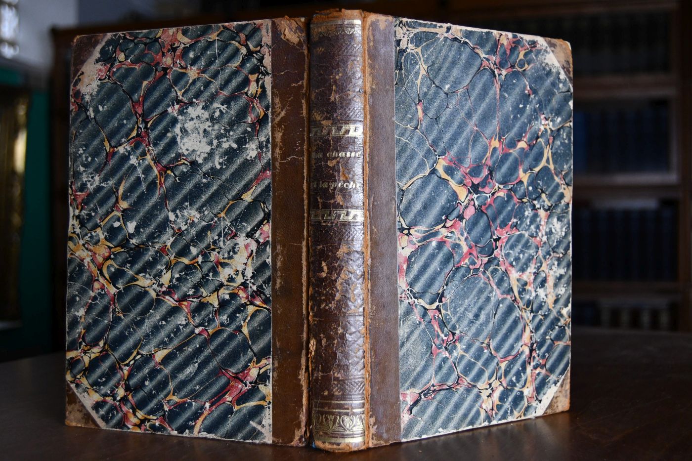 La chasse et la peche en angleterre et sur le continent traduit de divers ouvrages anglais.