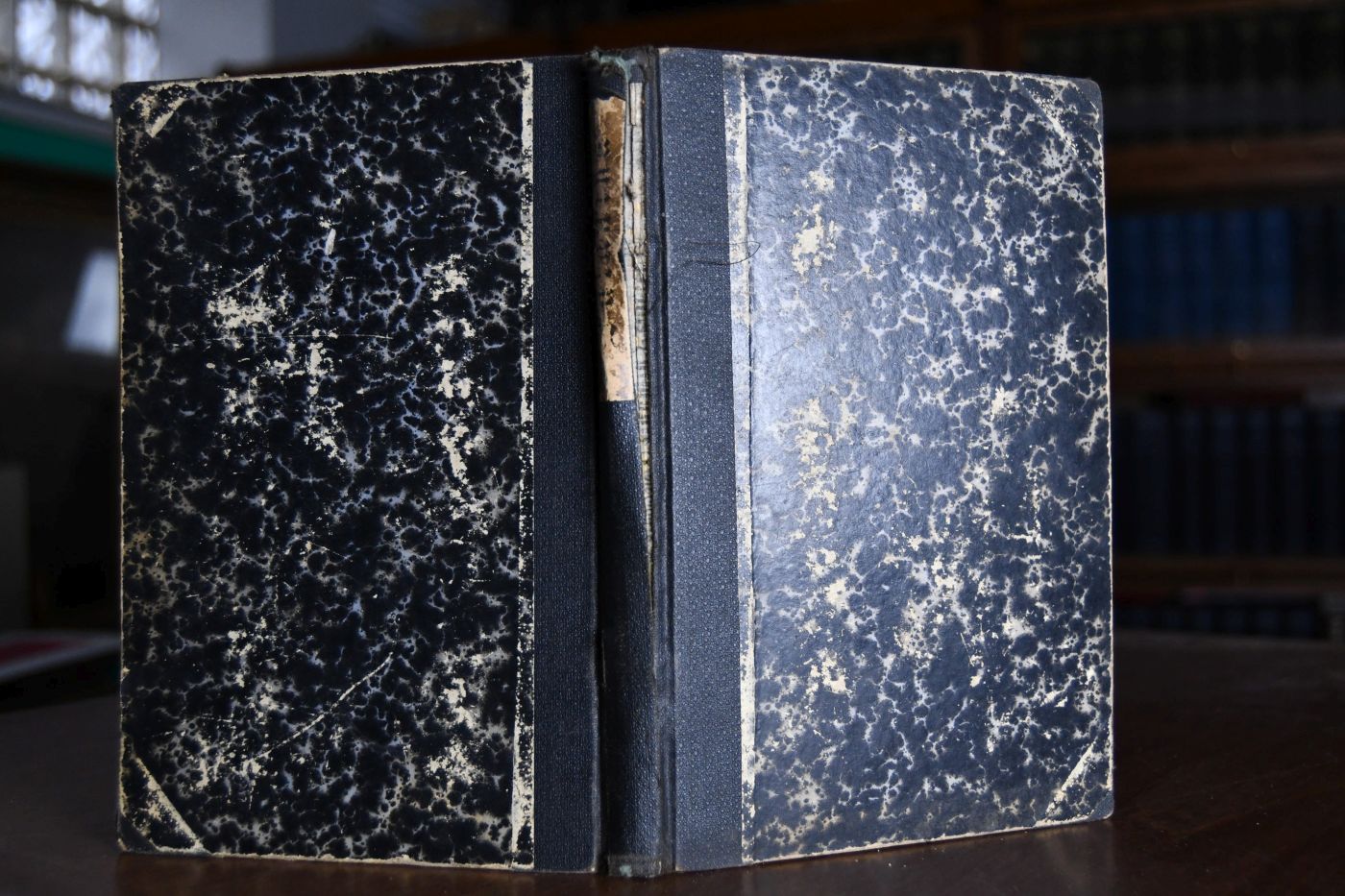 Palästina oder das heilige Land nach seinen geographischen, religiösen, staatlichen, bürgerlichen und häuslichen Verhältnissen. Ein Handbuch für Lehrer beim Unterrichte in der biblischen Geschichte und zugleich zum nützlichen Gebrauche für das Haus.