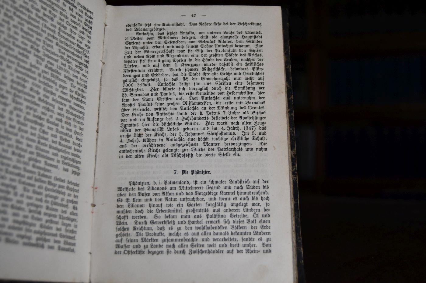 Palästina oder das heilige Land nach seinen geographischen, religiösen, staatlichen, bürgerlichen und häuslichen Verhältnissen. Ein Handbuch für Lehrer beim Unterrichte in der biblischen Geschichte und zugleich zum nützlichen Gebrauche für das Haus.