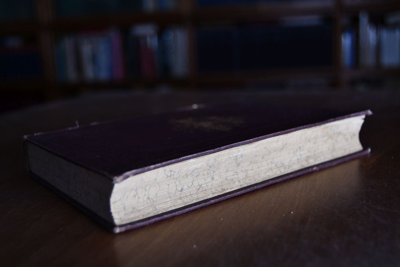 Das Weib als Gattin. Lehrbuch über die Pflichten, Rechte und Gesundheitsregeln der deutschen Frau im Eheleben zur Begründung der leiblichen und sittlichen Wohlfahrt ihrer selbst und ihrer Familie. Eine Körper- und Seelendiätetik des Weibes in der Liebe und Ehe.