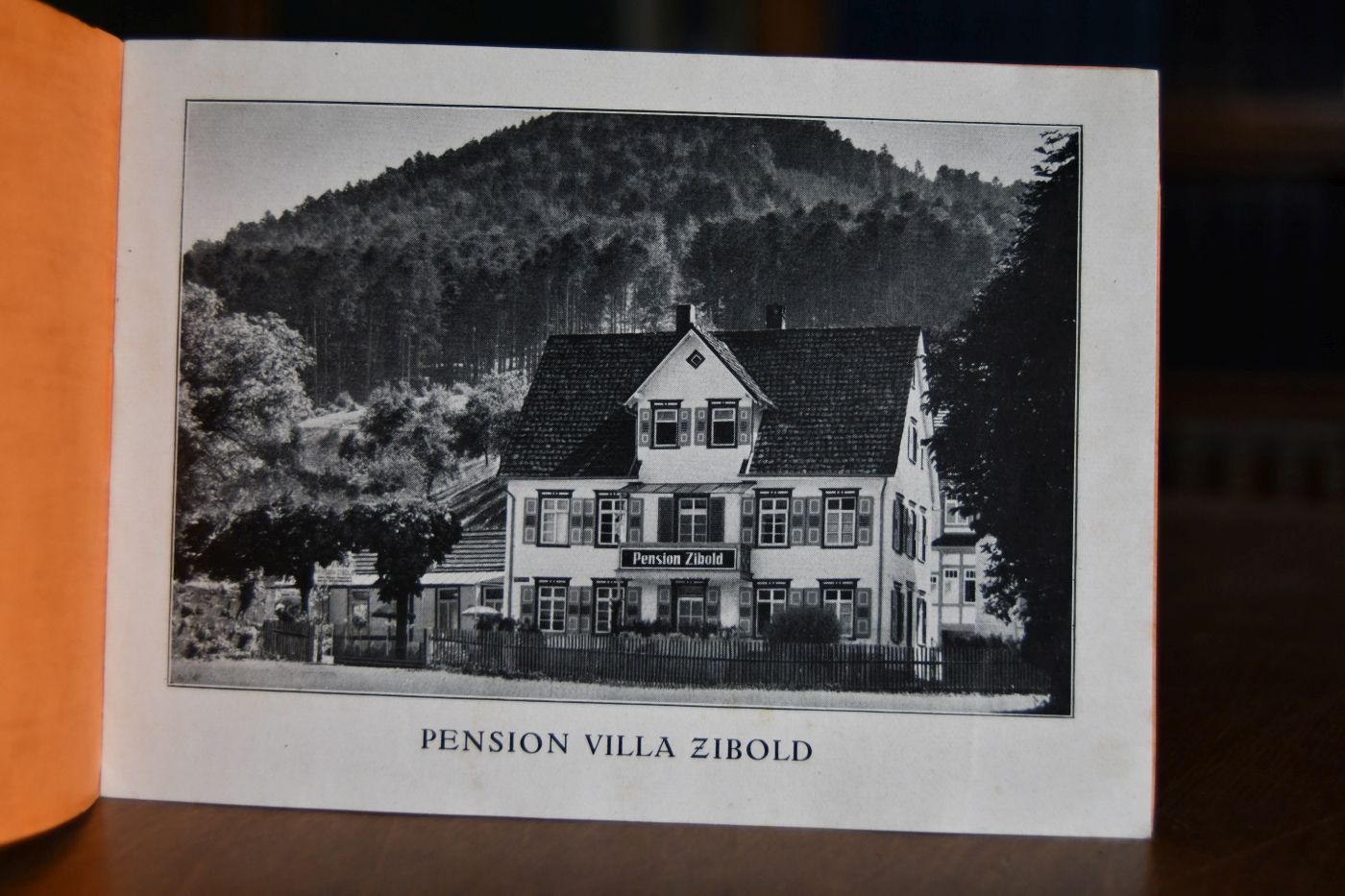 Werbeprospekt Pension Villa Zibold. Besitzer P. Zibold. Bad Herrenalb.