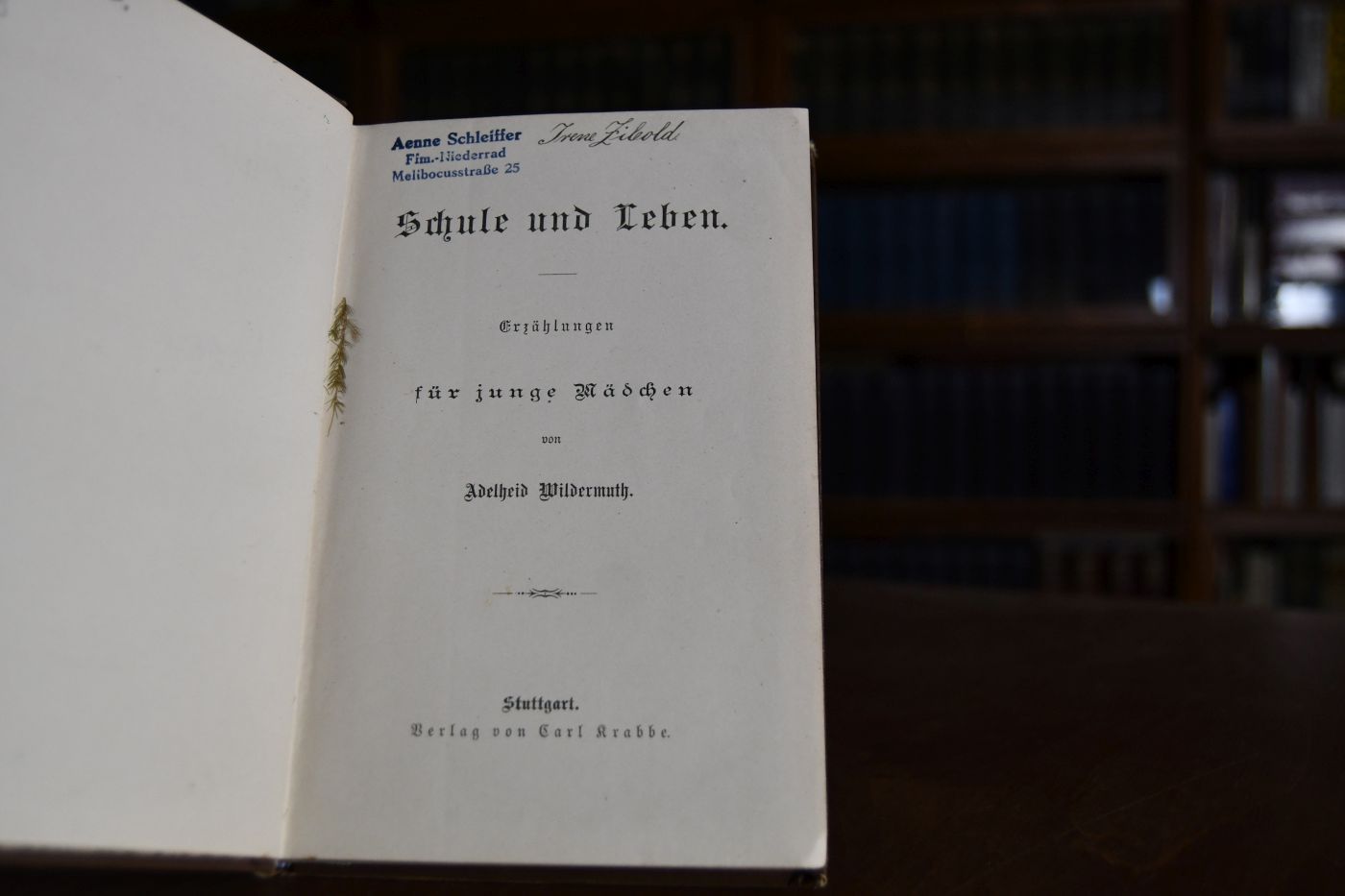 Schule und Leben. Erzählungen für junge Mädchen.