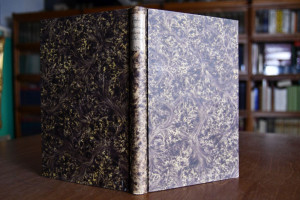 Der Vaterlandsgedanke un d die deutsche Dichtung.