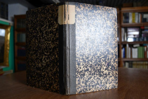 Compendium des Deutschen Strafprocesses.