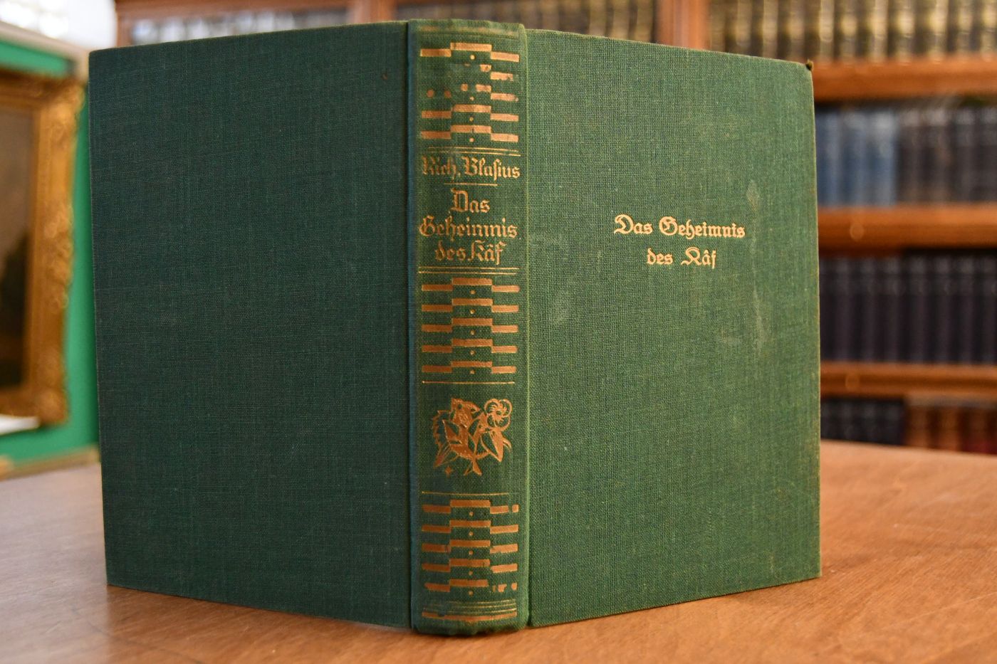 Das Geheimnis des Kaf. Abenteuer-Roman.