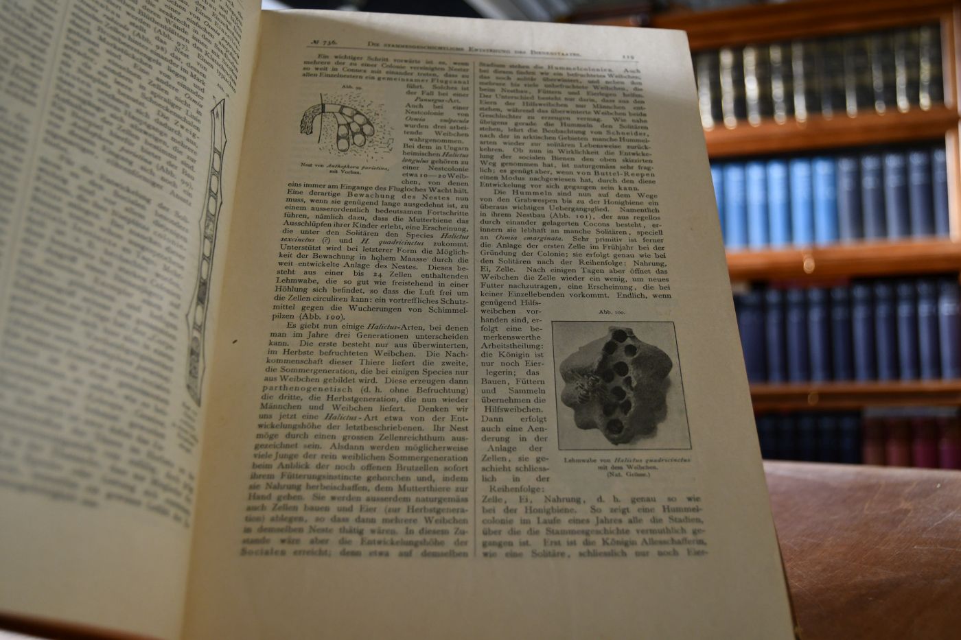 Prometheus. Illustrierte Wochenschrift über die Fortschritte in Gewerbe, Industrie und Wissenschaft. XV. Jahrgang, 1904.