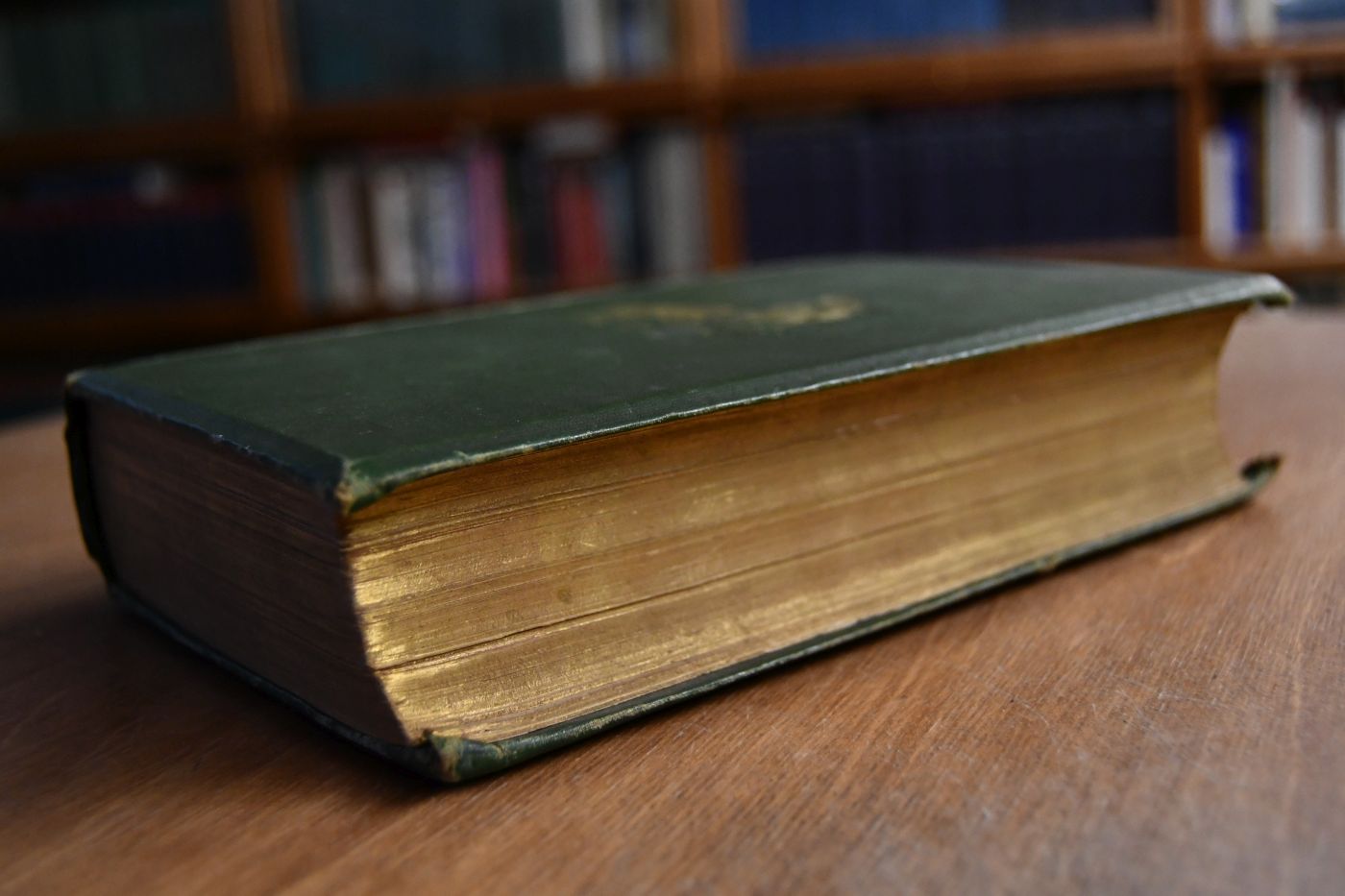 Forest, field and flood, being stories of adventures in sport, travel and war.