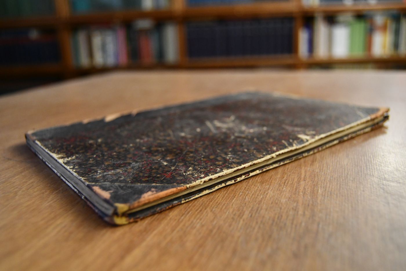 Bericht über die Ausgrabungen in Troja im Jahre 1890.