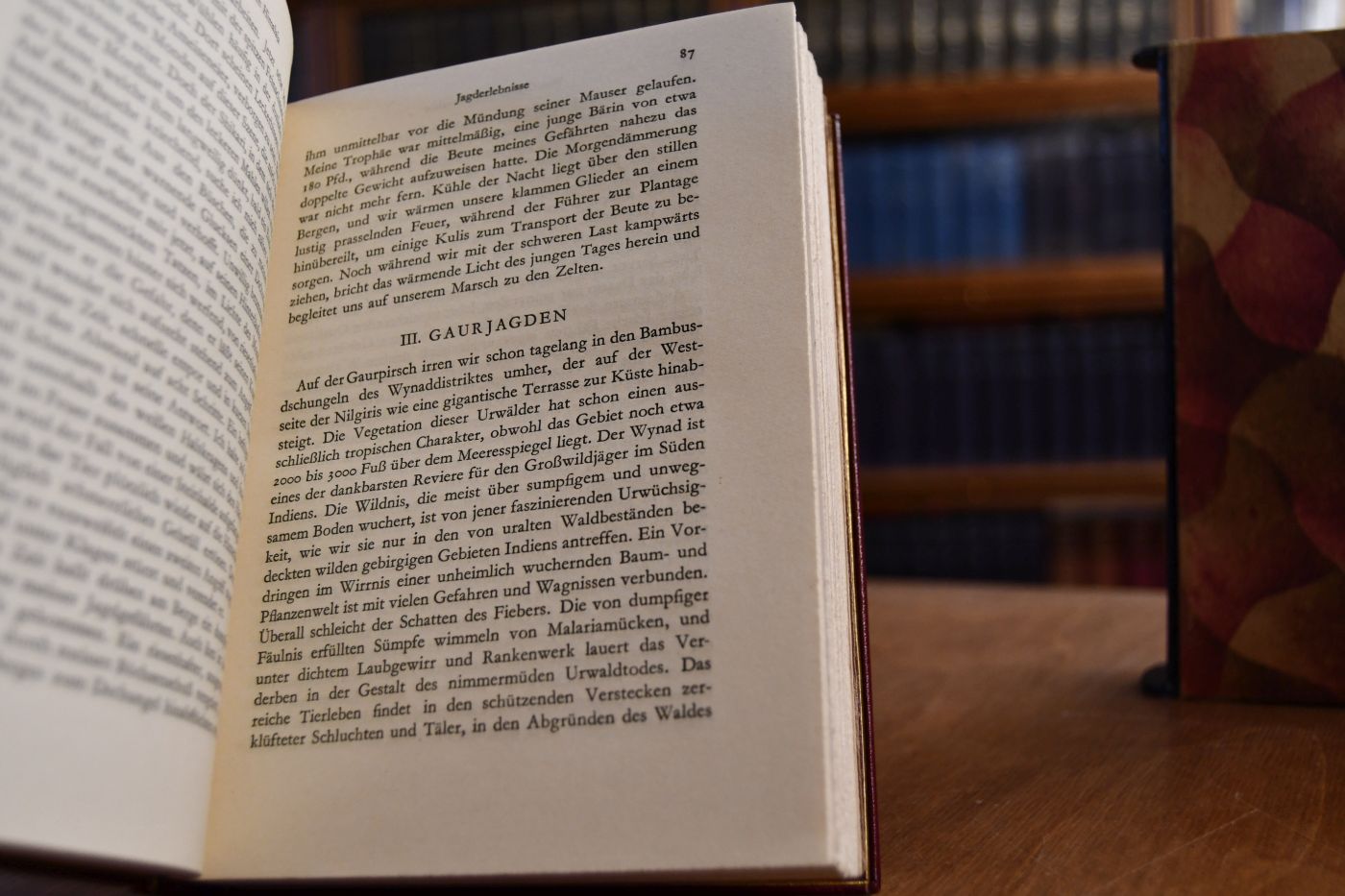 Von Ceylon zum Himalaja. Ein Reisebuch.