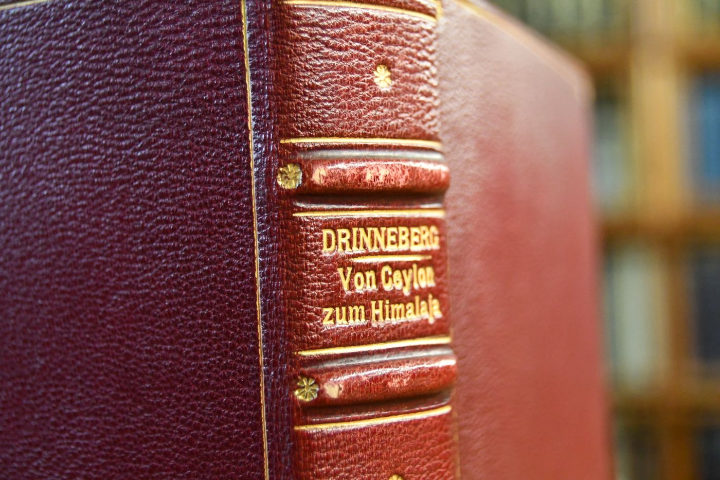 Von Ceylon zum Himalaja. Ein Reisebuch.