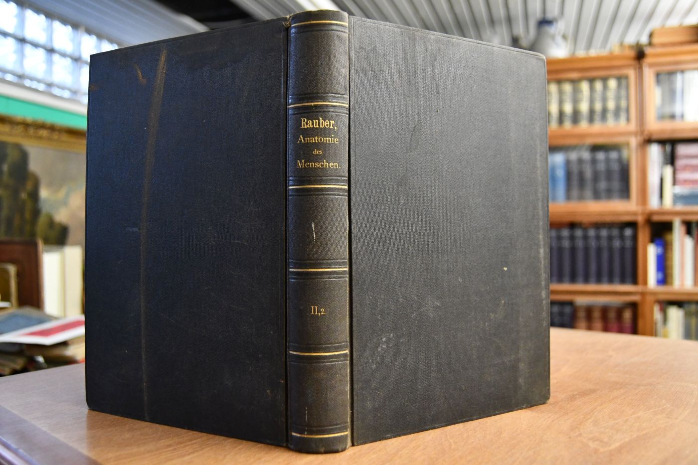 Lehrbuch der Anatomie des Menschen. Zweiter Band, zweite Abteilung (apart) Nervenlehre, Sinnesorgane, Leitungsbahnen.
