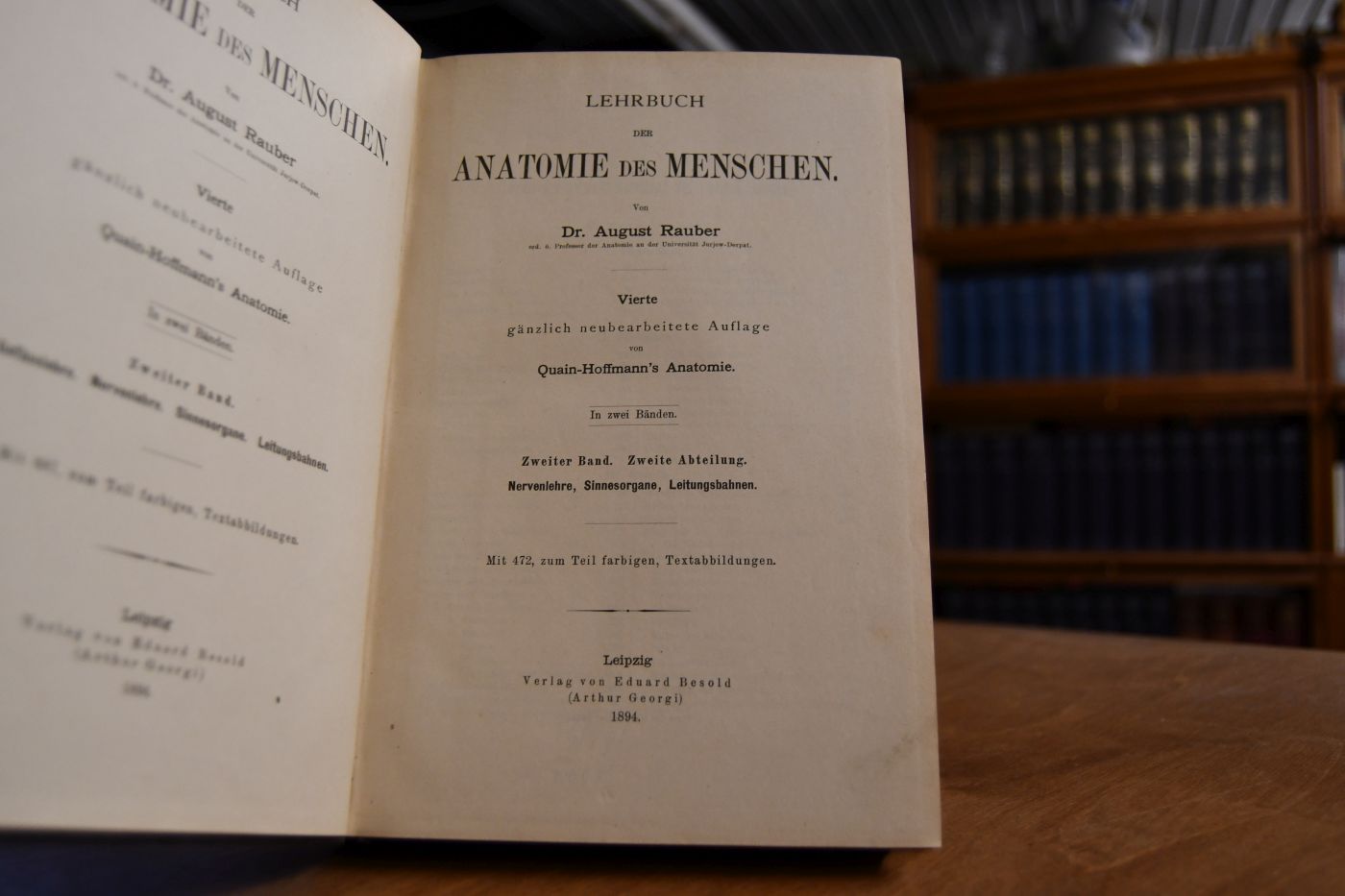 Lehrbuch der Anatomie des Menschen. Zweiter Band, zweite Abteilung (apart) Nervenlehre, Sinnesorgane, Leitungsbahnen.