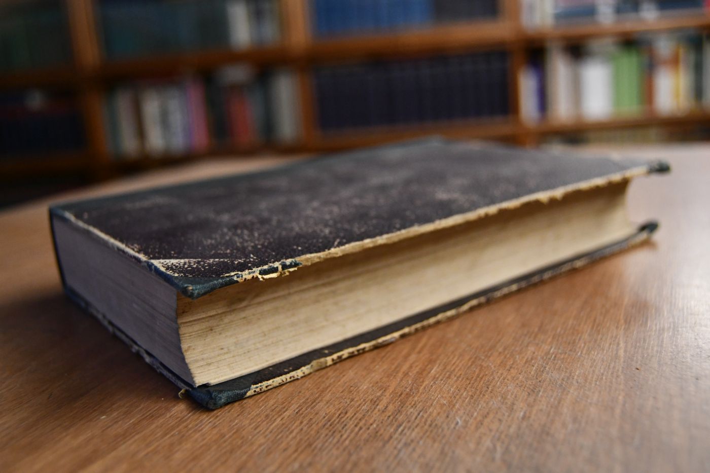 Sozialismus und kapitalistische Gesellschaftsordnung. Kritische Würdigung beider als Grundlegung einer Sozialpolitik.