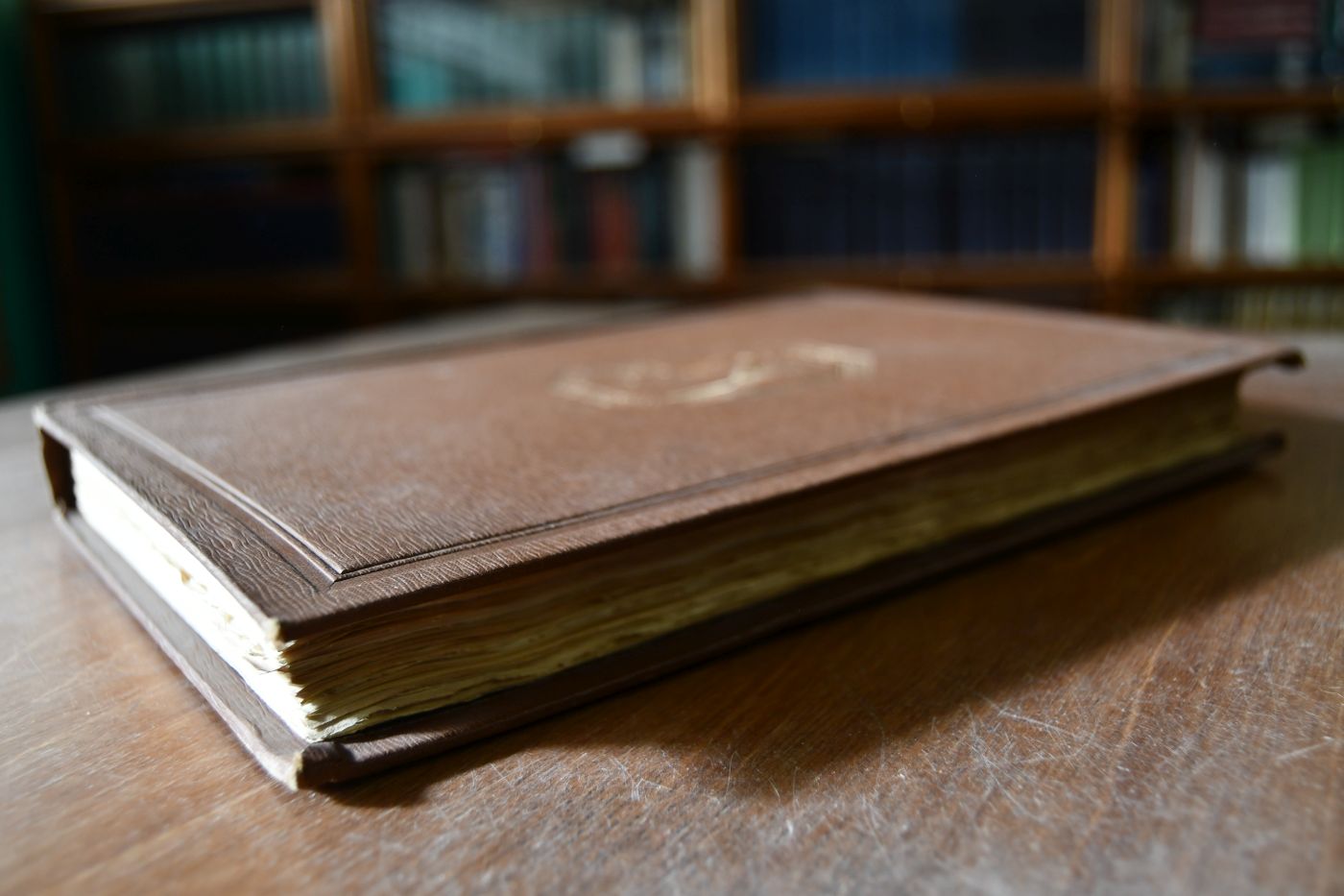 Il Trattato de Vulgari Eloquentia per cura di Pio Rajna.