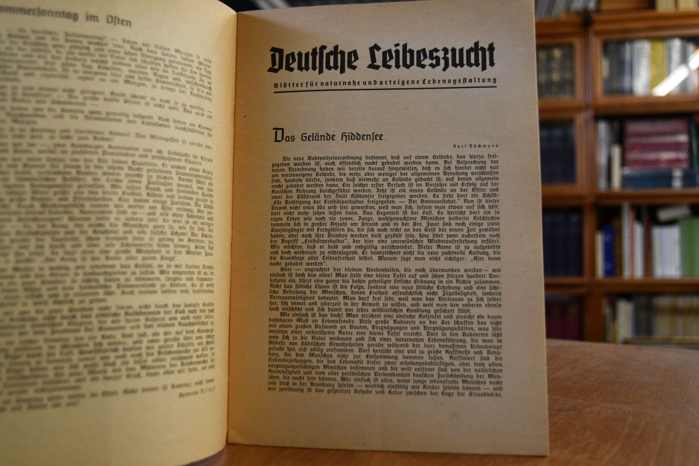 Deutsche Leibeszucht. Blätter für naturnahe und arteigene Lebensgestaltung. Folge 9, 10. Jahrgang.