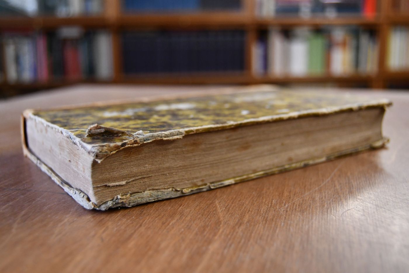 Catalogue raisonne de toutes les estampes qui forment l`oeuvre de Rembrandt, et des principales pieces de ses eleves, compose par les sieurs Gersaint, Helle, Glomy et P.Yver. Beigebunden Suplement au Catalogue de Rembrandt, suive d`une description des estampes de ses eleves, augmentees de pieces et d`epreuves inedites. On y a joint une description des morceaux qui lui ont ete faussement attribues et de ceux des meilleurs graveurs, d`apres ses tableaux ou dessins. Paris, Didot, 1828, XV, 244 S.