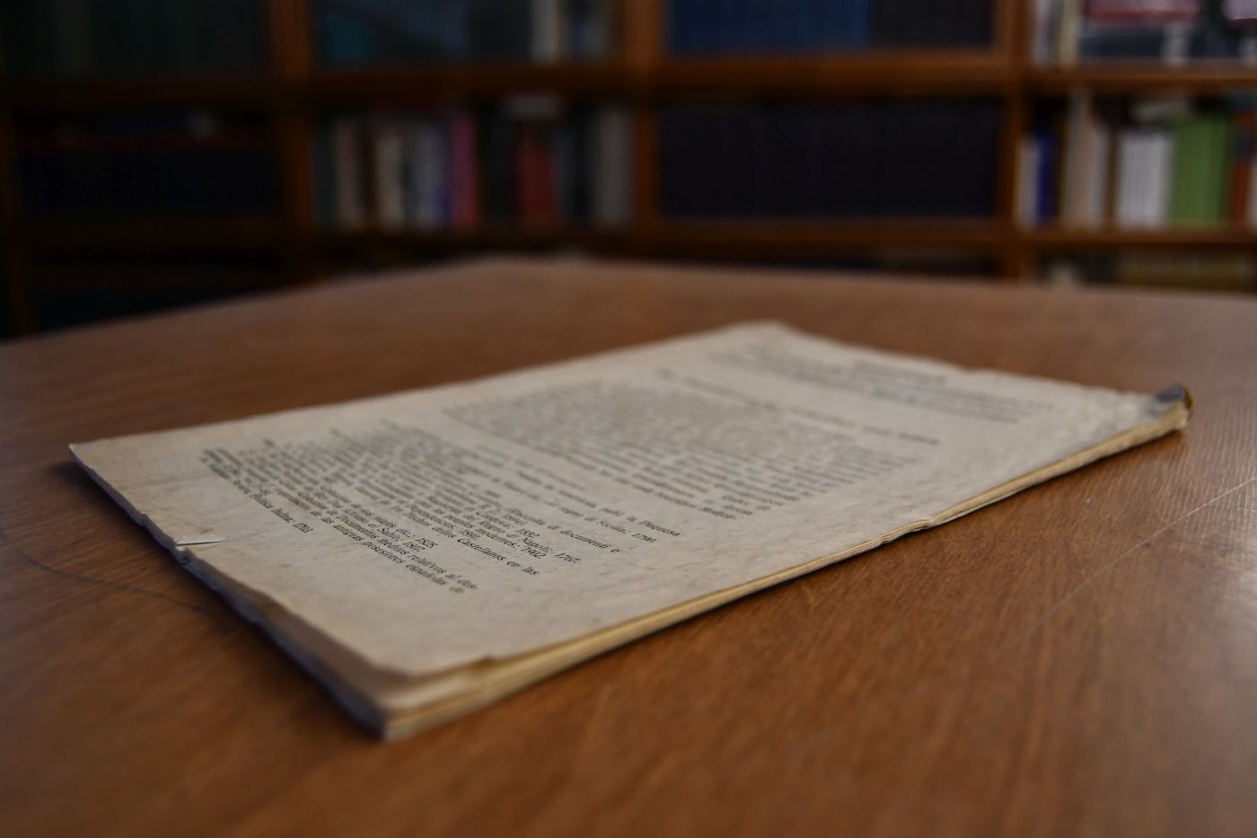 Das Vizekönigtum des Kolumbus und seiner Erben.