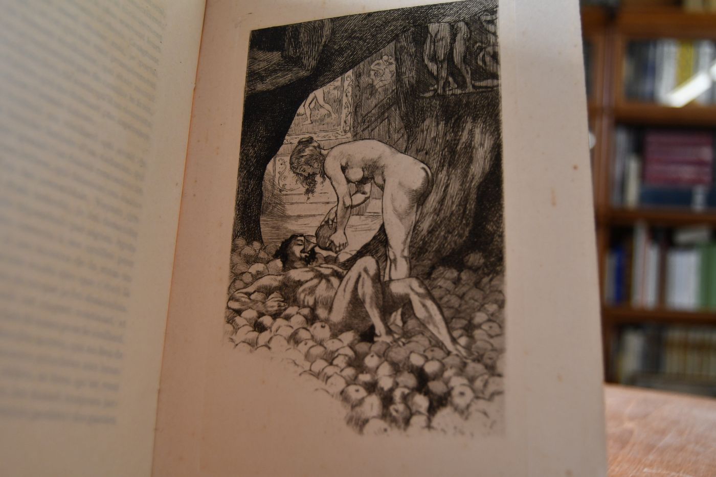 L`histoire comique de Francion ; en laquelle sont decouvertes les plus subtiles finesses et trompeuses inventions tant des hommes que des femmes de toutes sortes de conditions et d`ages. Non moins profitable pour s`en garder, que plaisante a la lecture.