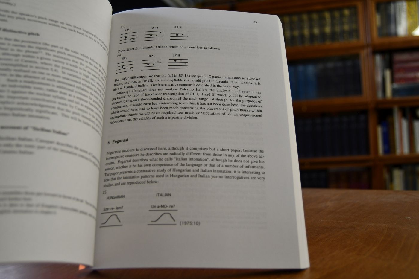 The intonation of interrogation in Palermo Italian. Implications for intonation theory.
