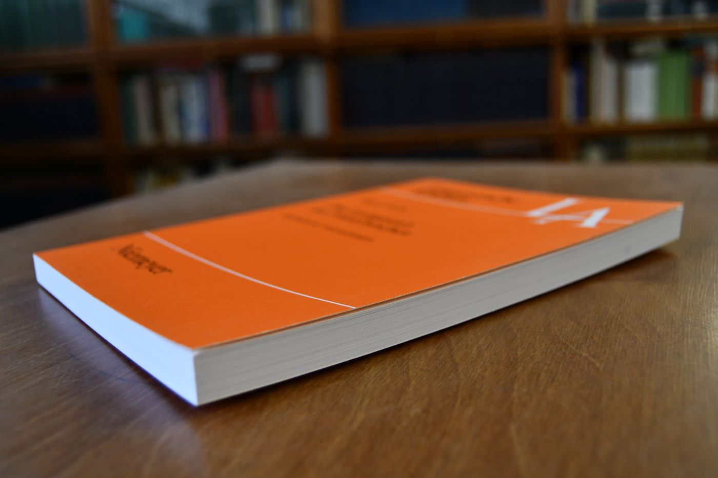 Die Lautgestalt des Französischen. Typologische Untersuchungen.