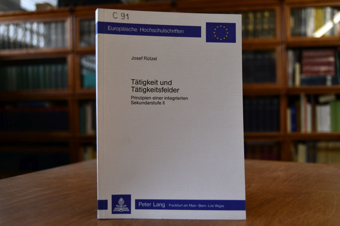 Tätigkeit und Tätigkeitsfelder. Prinzipien einer integrierten Sekundarstufe 2.