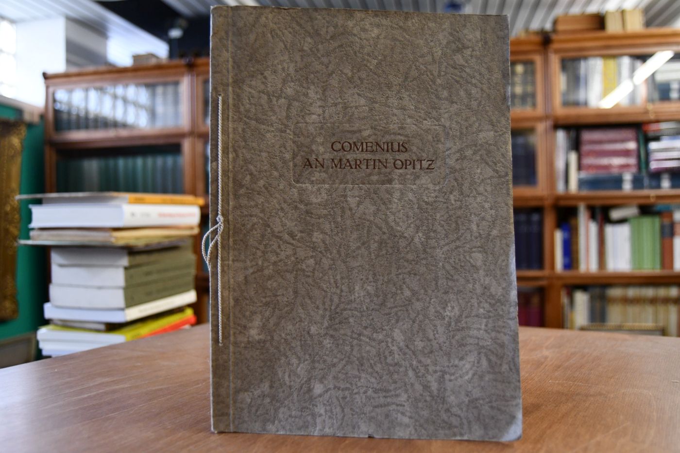 Ein unbekannter Brief des Joh. Amos Comenius an Martin Opitz. Eingeleitet von Josef Volf.