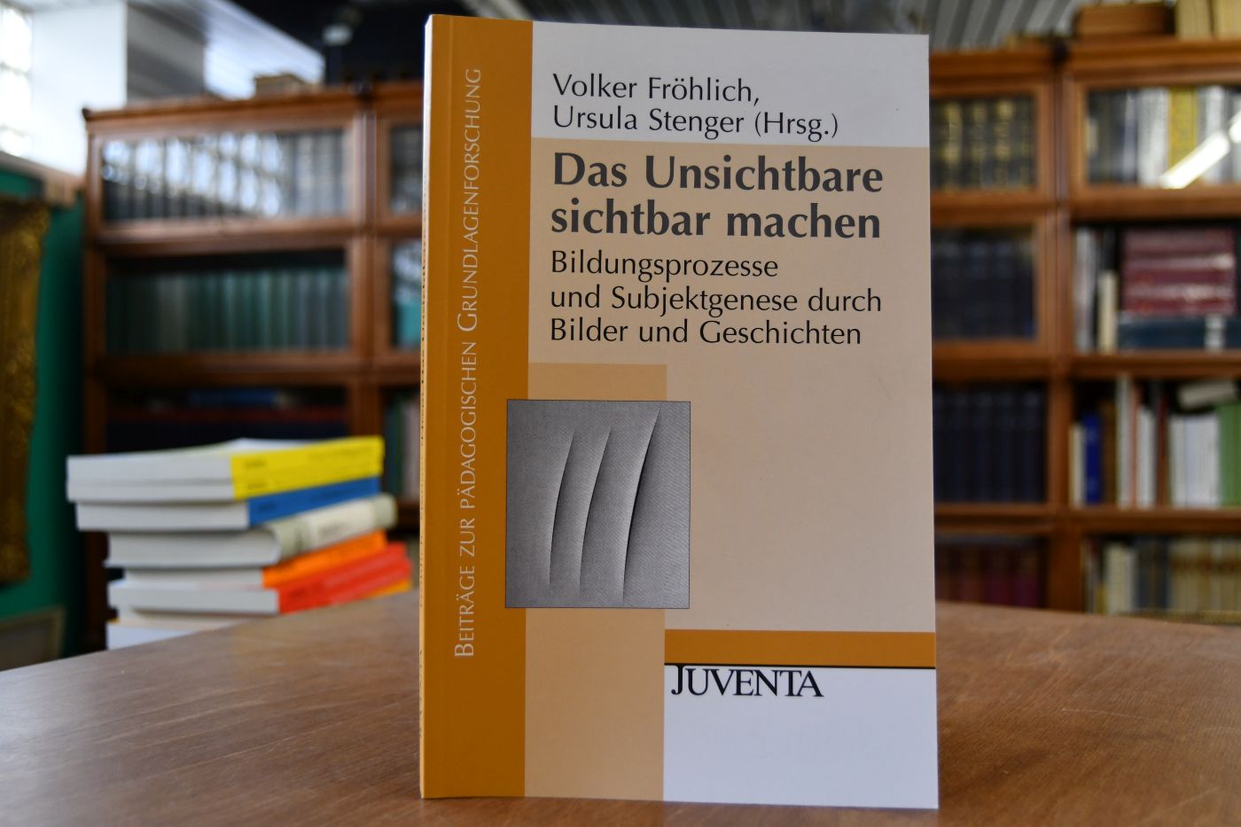 Das Unsichtbare sichtbar machen. Bildungsprozesse und Subjektgenese durch Bilder und Geschichten.