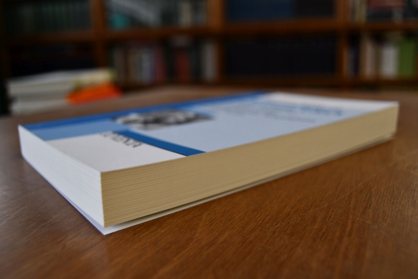 Selbständigkeit und etwas Glück. Einflüsse öffentlicher Erziehung auf die biographischen Perspektiven junger Frauen.