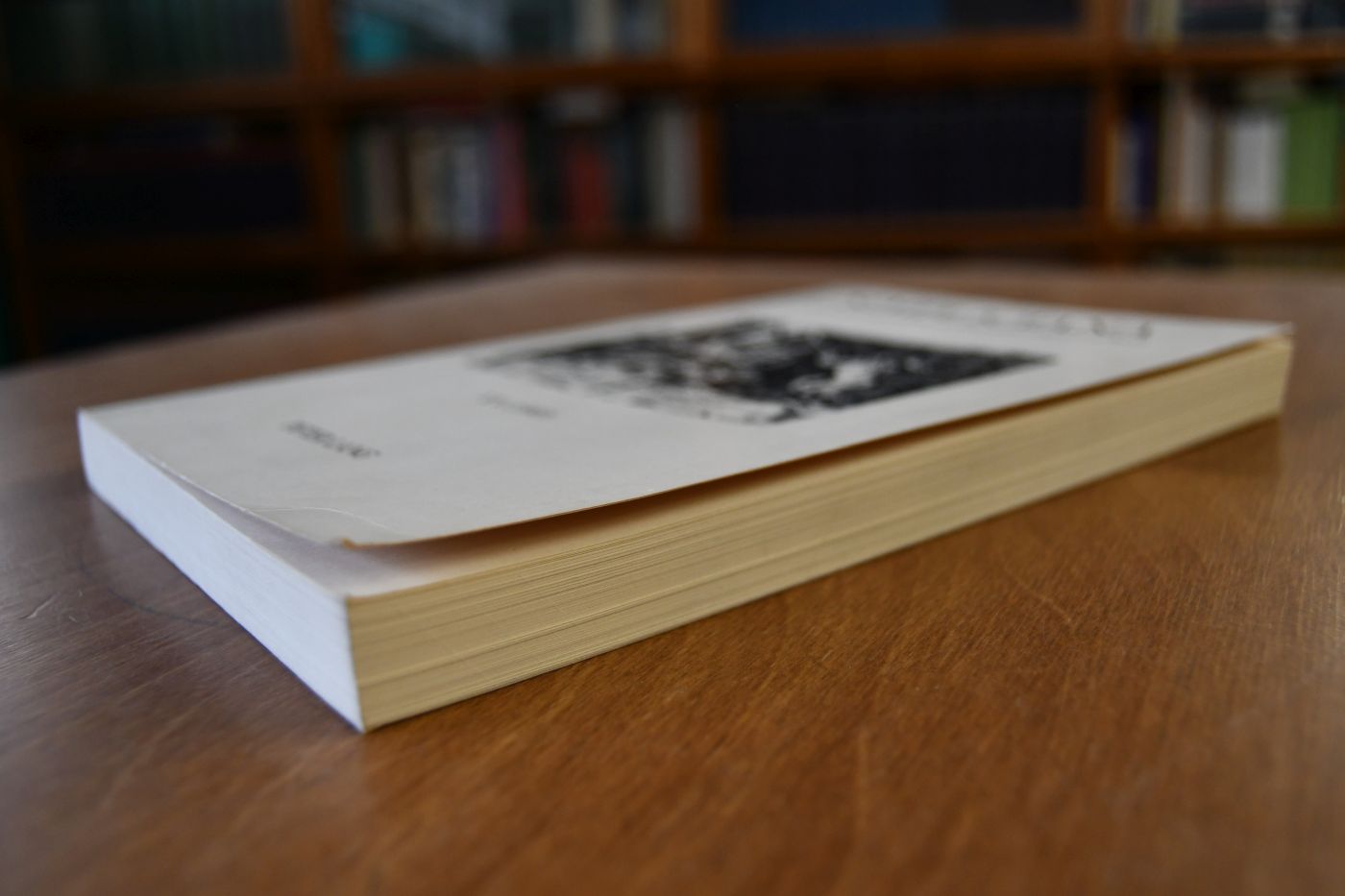 Simpliciana. Schriften der Grimmelshausen-Gesellschaft XV (1993).