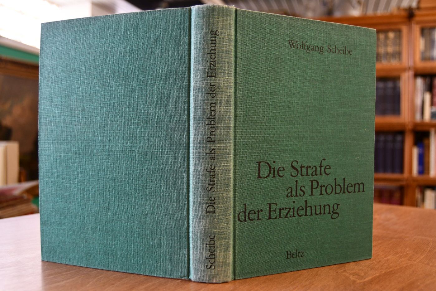 Die Strafe als Problem der Erziehung. Eine historische und systematische pädagogische Untersuchung.