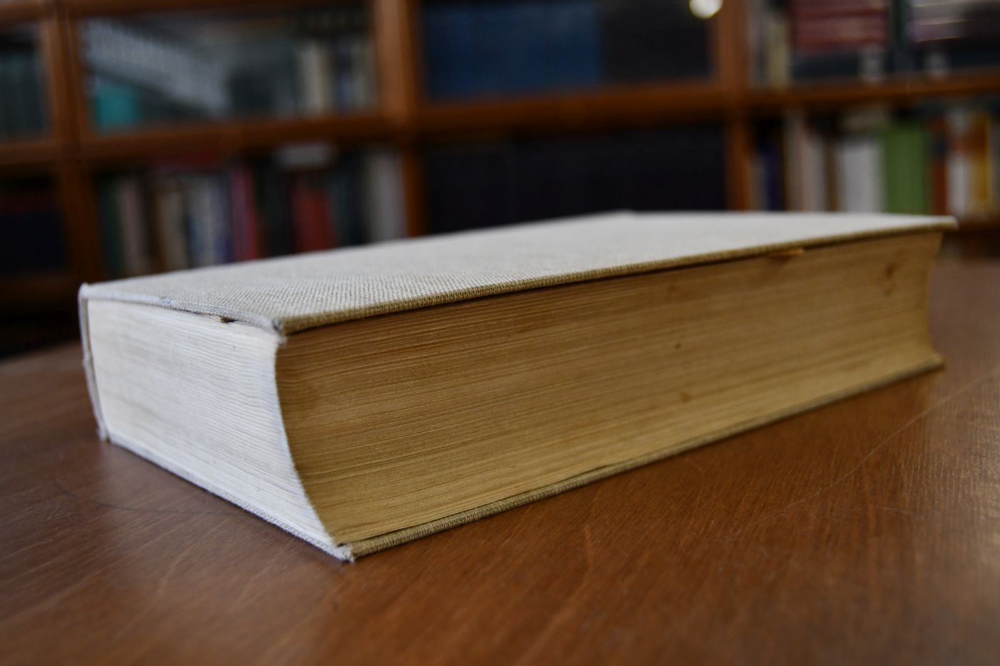 Die christliche Wahrheit. Lehrbuch der Dogmatik.