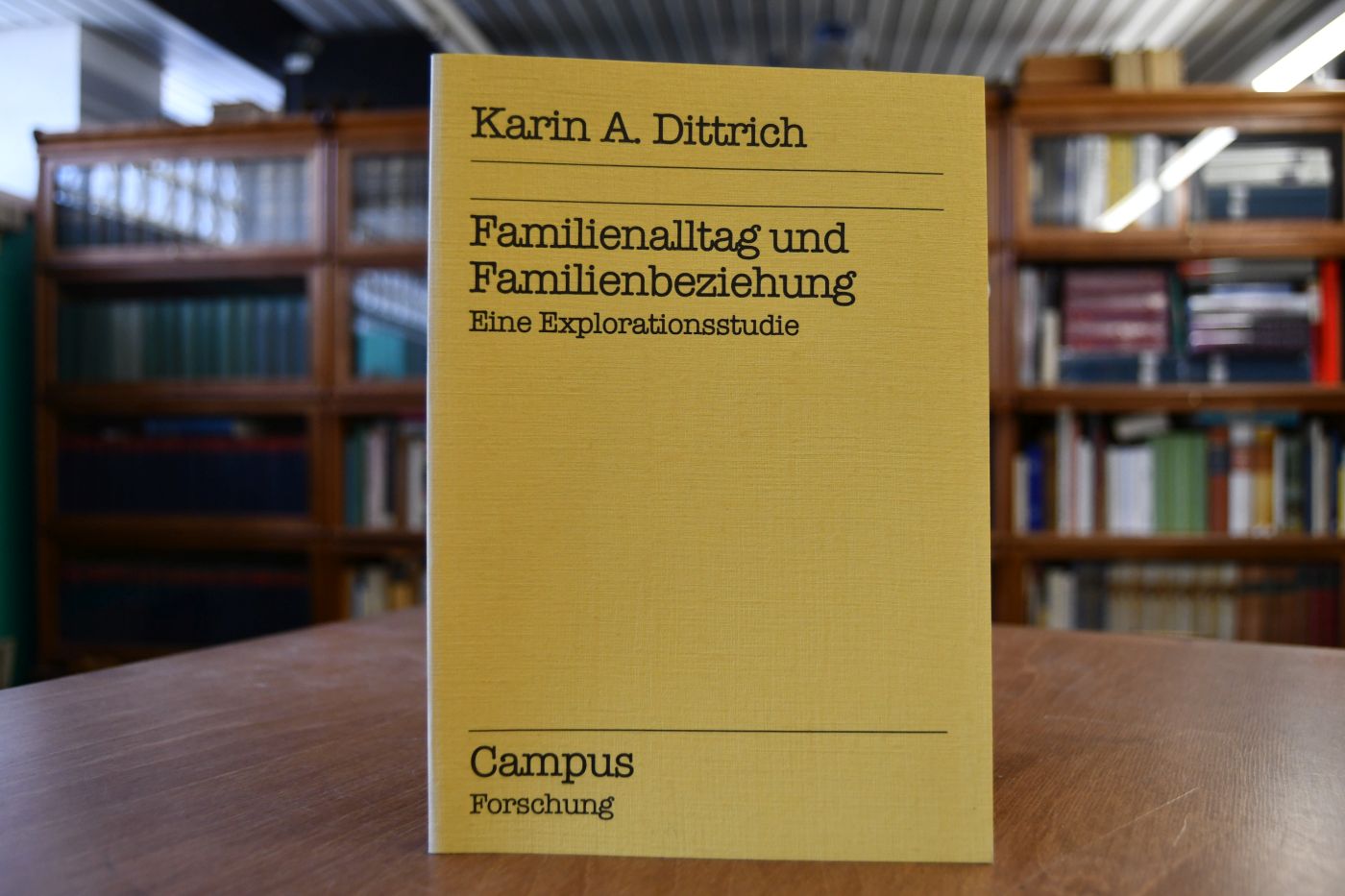 Familienalltag und Familienbeziehung. Eine Explorationsstudie.