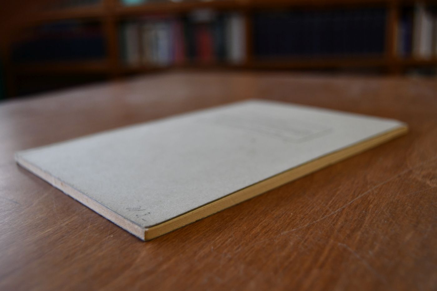 Der Rosenroman und der lateinische Averroismus des 13. Jahrhunderts.