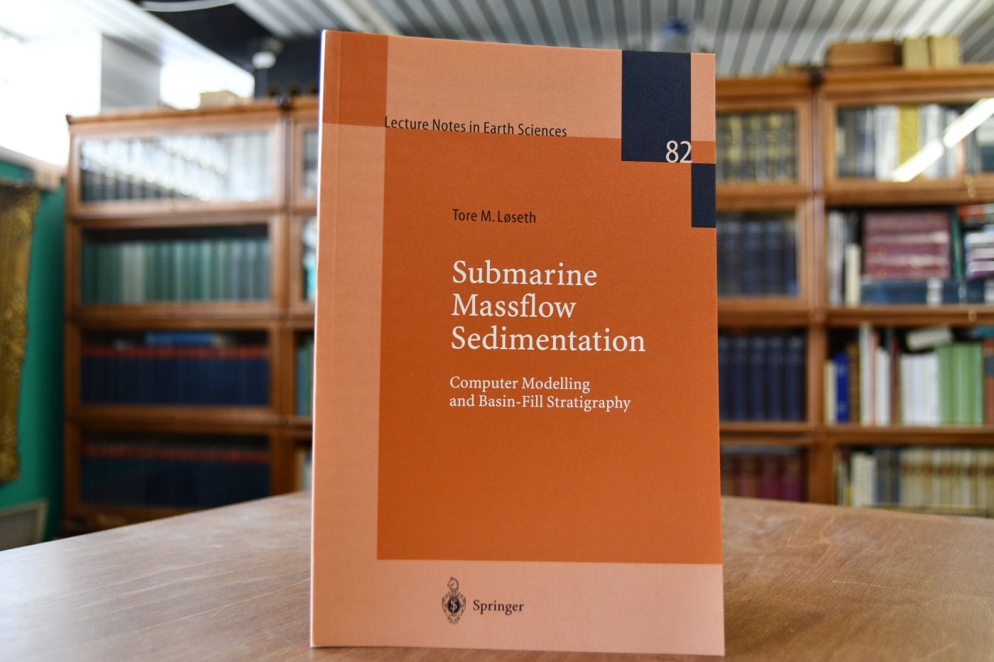 Submarine massflow sedimentation. Computer modelling and basin fill stratigraphy.