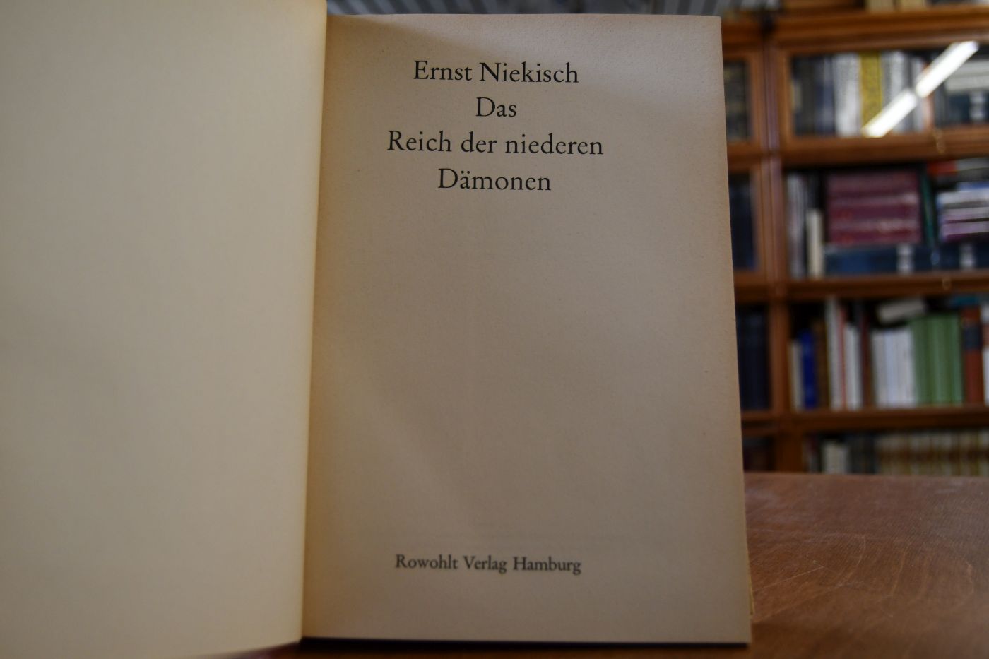 Das Reich der niederen Dämonen.