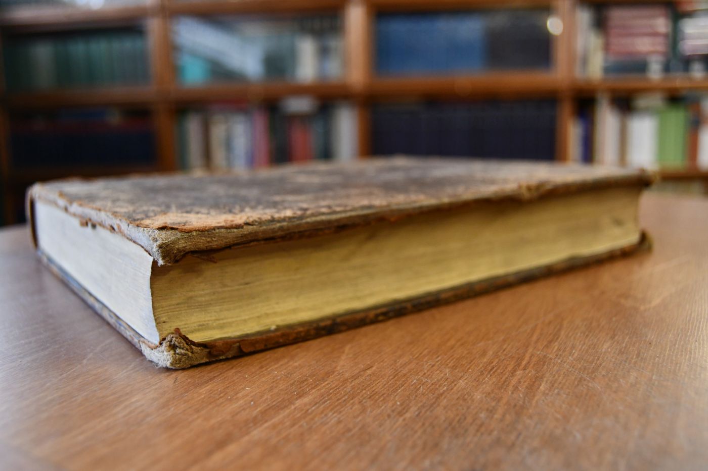 The Voyage of Nearchus from the Indus to the Euphrates, collected from the Original Journal preserved by Arrian, and illustrated by authorities ancient and modern; containing an account of the first Navigation attempted by Europeans in the Indian Ocean.