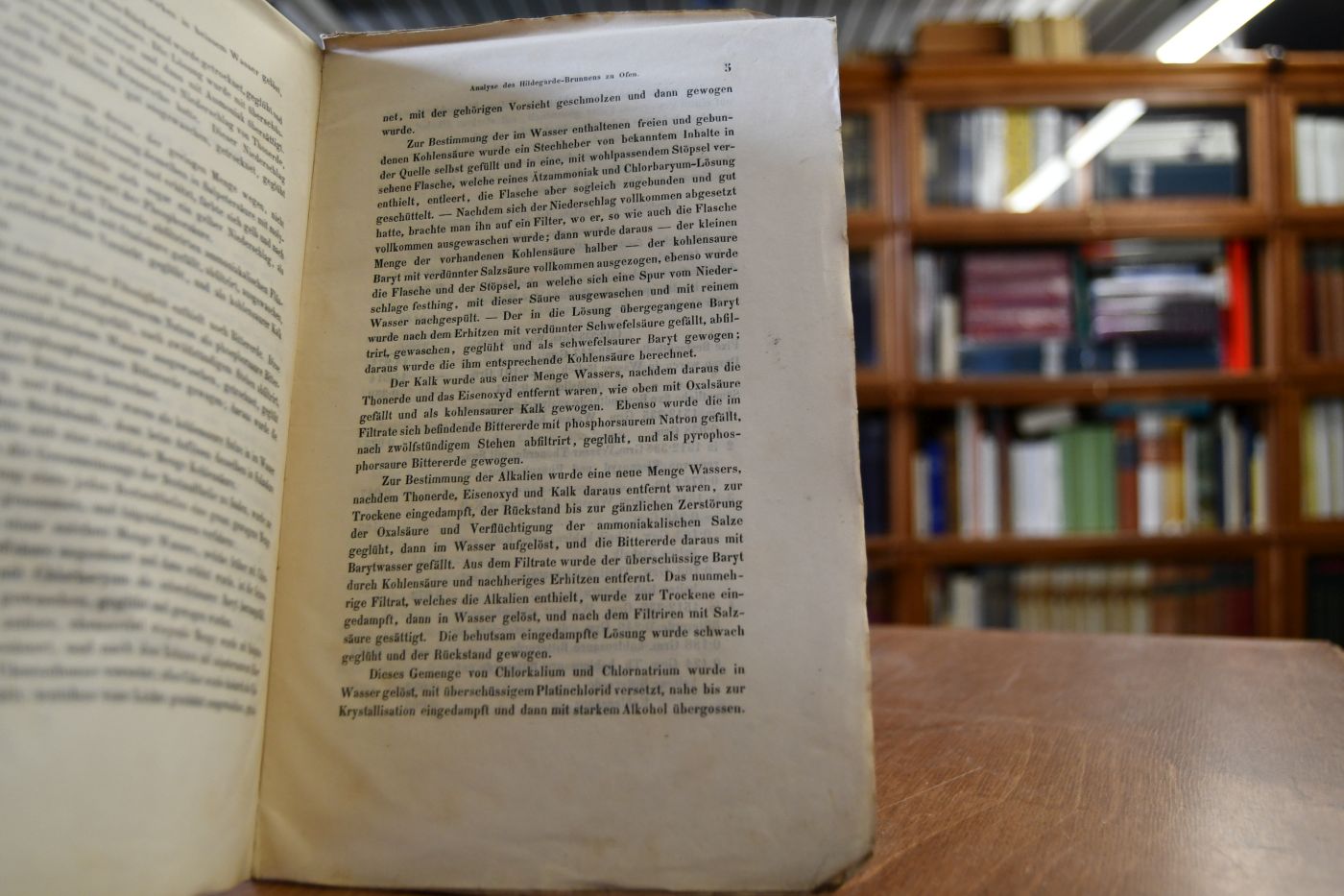 Analyse des Hildegarde-Brunnens zu Ofen.