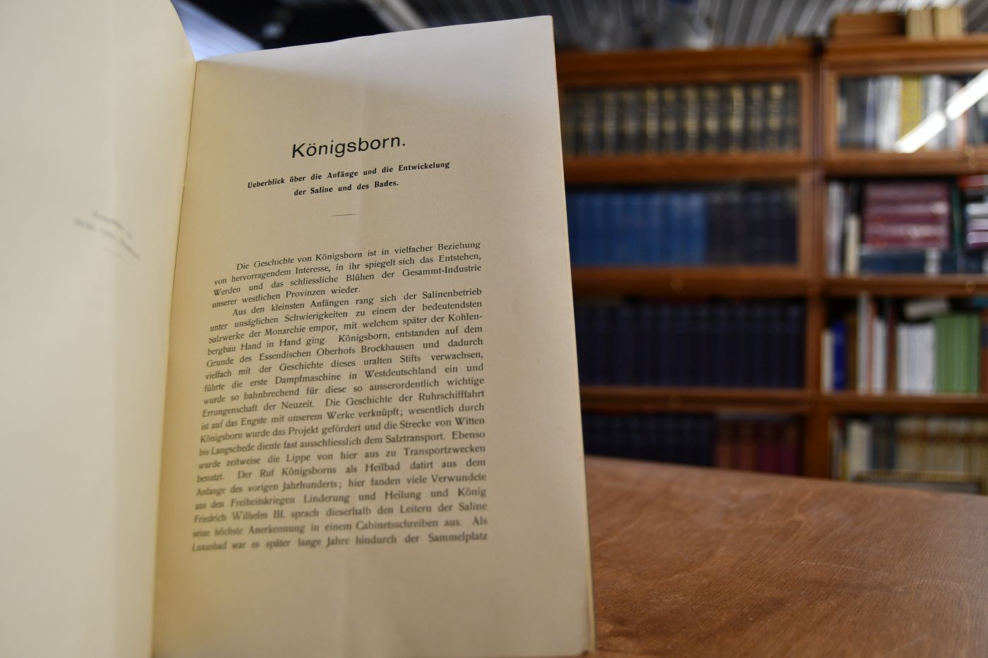 Ueberblick über die Geschichte der Saline und des Soolbades Königsborn bis zum Jahre 1873, actenmässig dargestellt, nebst einer Tabelle über die Entwicklung der Gewerkschaft Könisborn bezw. der "Königsborn" Actiengesellschaft für Bergbau-, Salinen- und Soolbadbetrieb von 1873 bis 1901.