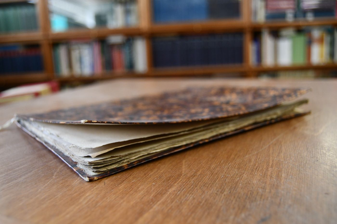 Gedichte bey der Feyer des Funfzigsten Jahrstages von Errichtung der K.K. Academie der Morgenländischen Sprachen. Gesungen im Nahmen der Zöglinge daselbnst den 1. Januar 1804.