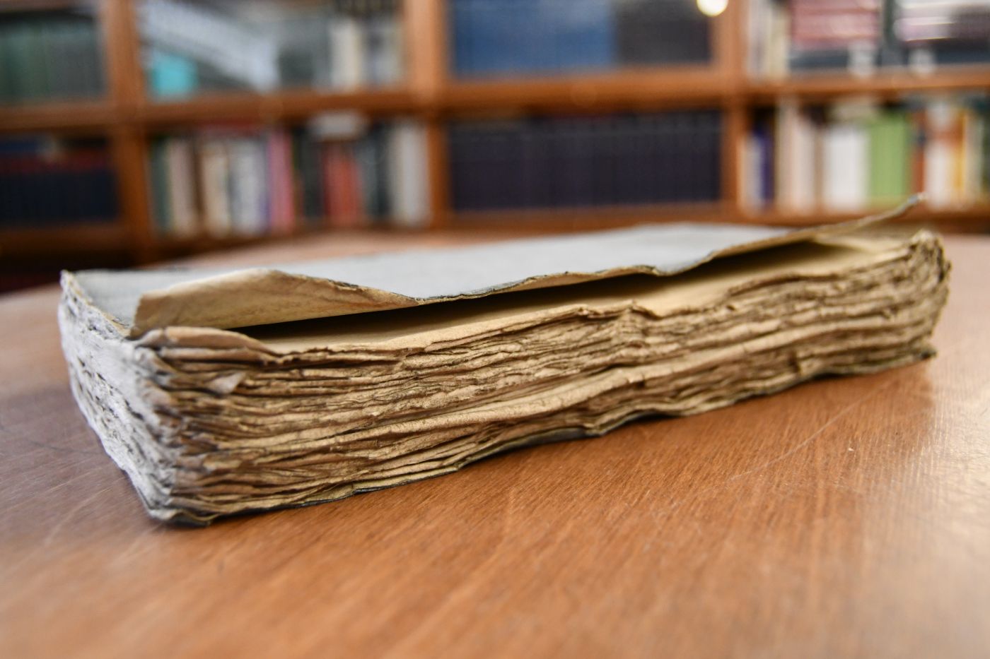 Theoria morbi, seu Pathologia generalis, praelectionibus academicis adcommodata.