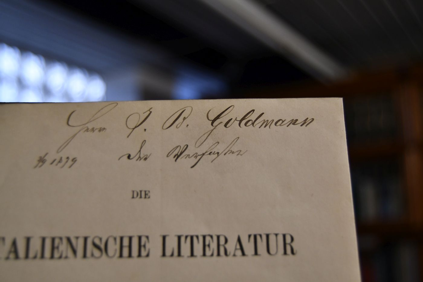 Die italienische Literatur am österreichischen Hofe.