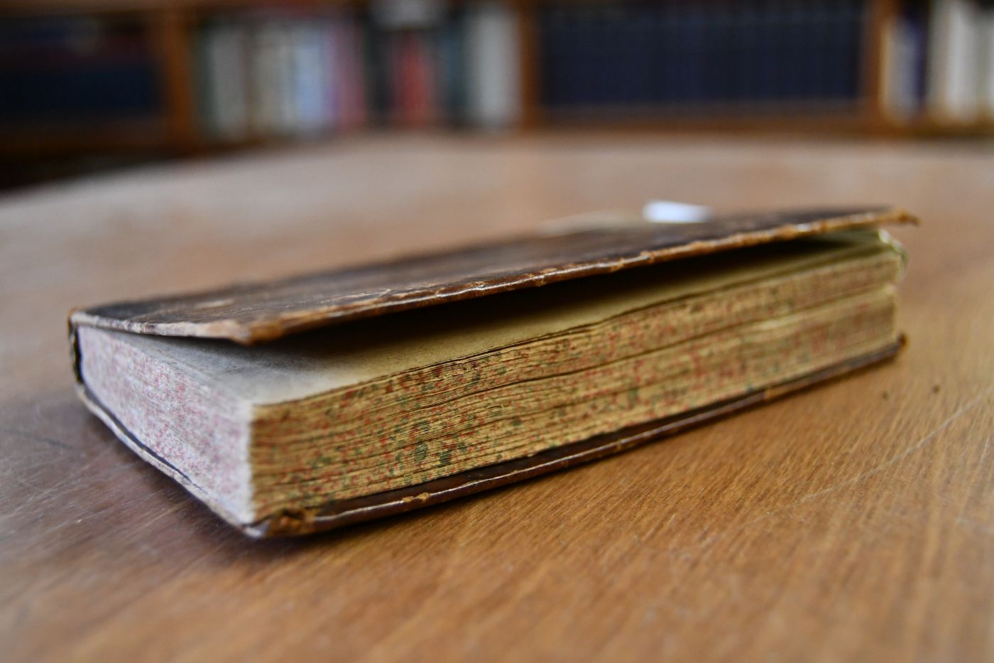 Tractatus varii de Pulicibus, Quorum Primus exhibet Dissertationem Juridicam Opizii Jocoserii De eo, quod iustum est, circa Spiritus familiares Foeminarum, Hoc est Pulices, Item Appendix continens varias quaestiones Miscellaneas de hoc Spiritu volatili, Secundus Laudem & defensionem Pulicum ex Masenii Exercitat. Oratoriis desumptam. Tertius Vituperium & Damnationem illorum ejusdem Autoris et Quartus Flochiam Greiffoldi Knickknakkii ex Floilandia Cortum Versicale de Flois, Schwattibus illis Thiericulis, quae omnes fere Menschos, Mannos, Weibros, Jungfras, &c. Behupffere, & Spitzibus Schnabilis stechere & beissere solent.