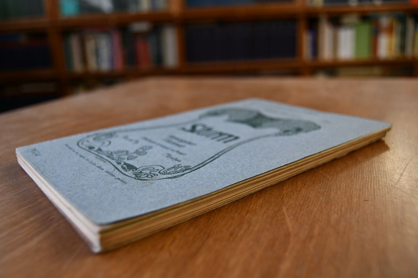 Sturm! Zeitschrift für öffentliches Leben und Kunst. Hefte 3-9 und 11 des Jahrgangs 1901.